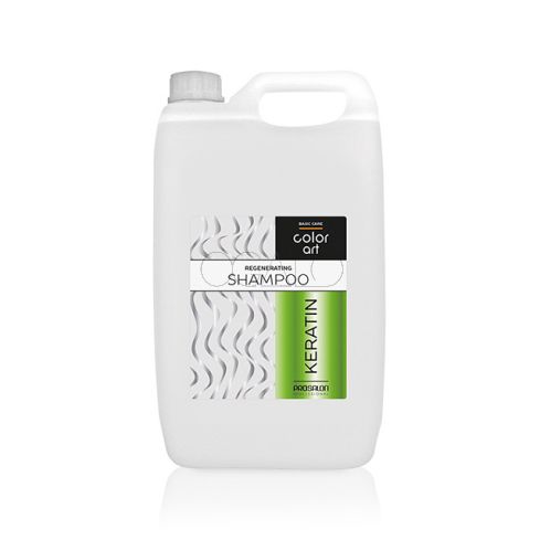 Prosalon Color Art Keratin