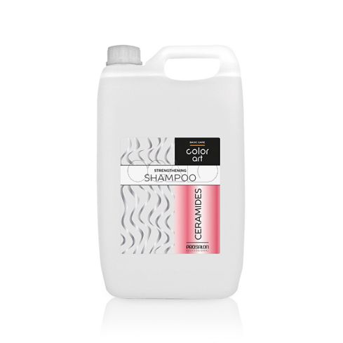 Prosalon Color Art Ceramides