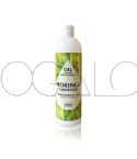 Oil System Professional Moringa