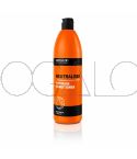 Prosalon Neutraliser