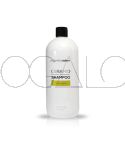 Essentional Salon Ceramid