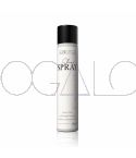 Expert Shine Spray