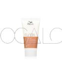Fusion Intense Repair