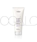 Alkemy Sleek Anti-Frizz Cream